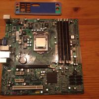 Scheda madre + CPU + RAM