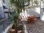 Immagine 26