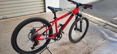 bici MTB ROCKRIDER ST900 24' 
