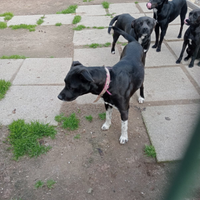 Offriamogli una casa