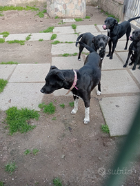 Offriamogli una casa