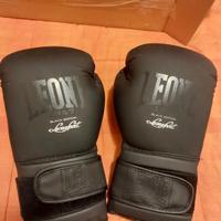 Protezioni e guantoni da kickboxing/boxe