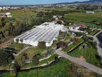 Azienda agricola agriturismo (zona Cagliari)