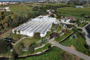 Azienda agricola agriturismo (zona Cagliari)