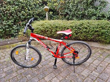 bicicletta mountain bike
