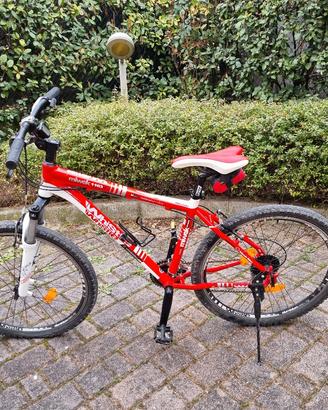 bicicletta mountain bike