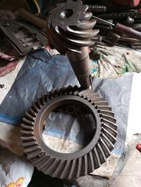 corona e pignone 10/43