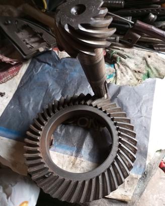 corona e pignone 10/43