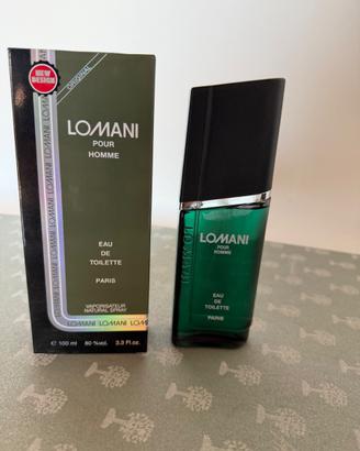 Lomani pour Homme 100 ml EDT