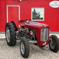 Trattore Massey Ferguson MF 35