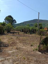Terreno vicino al mare