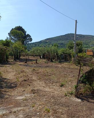 Terreno vicino al mare