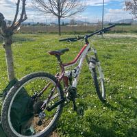 Bici mondraker  factor R 2010