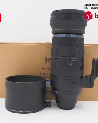 Olympus OM System M.Zuiko ED 150-600 F5-6.3 IS (Ol