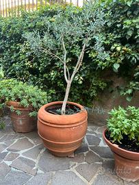 Vaso da giardino tipo orcio in cotto