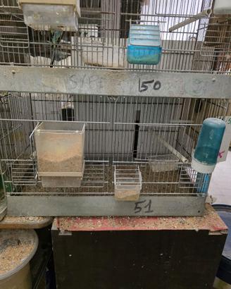 Gabbia per uccellini, 2 divisori