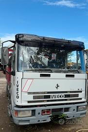 Eurocargo con gru e ribaltabile