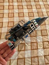 Bundle Scheda Madre Asus P8H61M-LE + CPU INTEL i5