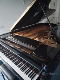 Pianoforte a coda