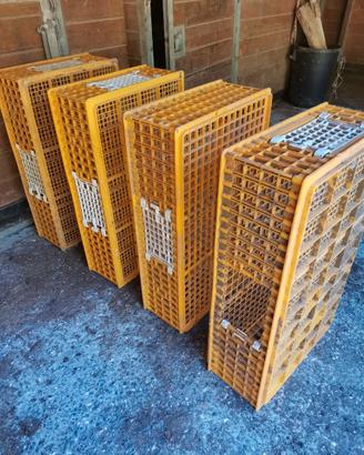 Gabbioni per trasporto avicoli