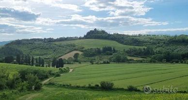 Palazzo / Stabile di 5200 m² con più di 5 locali a