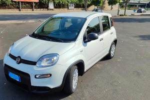 FIAT Panda 3ª serie - 2024