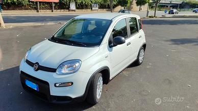 FIAT Panda 3ª serie - 2024 GPL