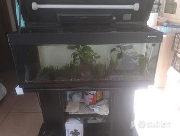 Acquario completo
