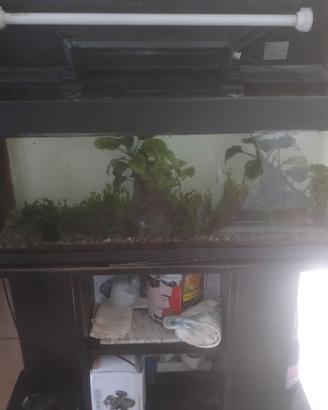 Acquario completo