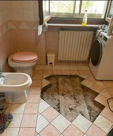 Lavoro edile e serramentista