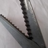 Forbici tagliacampioni. 