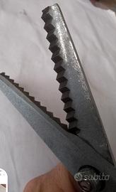 Forbici tagliacampioni. 