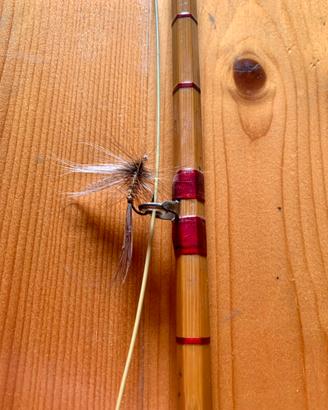 Pesca a mosca
