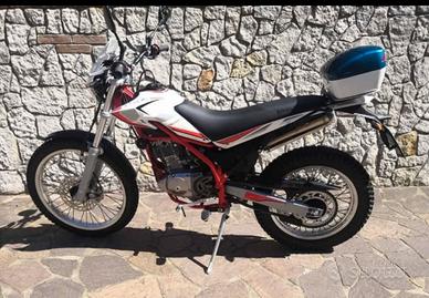 Beta 200 Alp