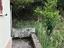 Immagine 12