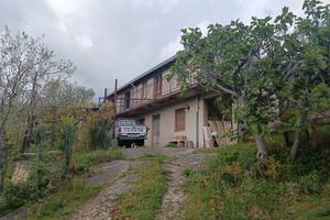 Terreno e caseggiato Militello Rosmarino (ME)