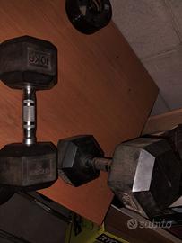 Manubri coppia 10kg cad