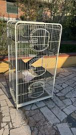 Gabbia coniglio 5 piani