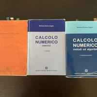 Calcolo Numerico, di Redivo Zaglia