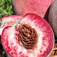 6 semi pesca della vigna, frutto antico