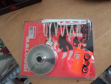 variatore  Malossi multivar 2000 liberty 50 4 