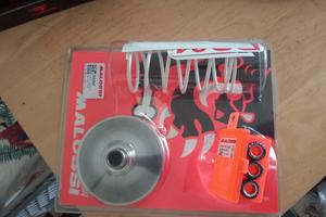 variatore  Malossi multivar 2000 liberty 50 4 