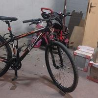 Bicicletta
