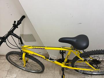 City bike adulto