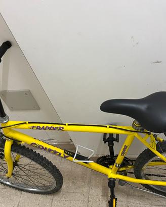 City bike adulto