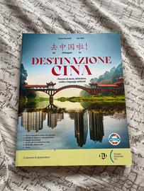 Destinazione Cina