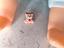 Immagine 4