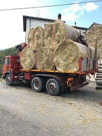 Fieno in rotoloni