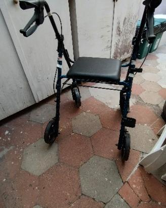 Deambulatore con freni