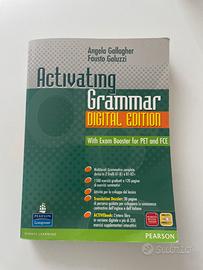 Libro didattico inglese A1-B2+ activating grammar